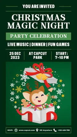 Christmas Party Night Poster Promotion TikTok Post