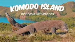 Youtube Thumbnail - Vlog Komodo Island