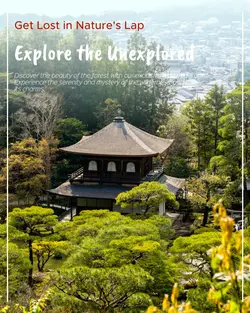 Travel industry General