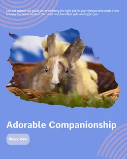 Pet industry General