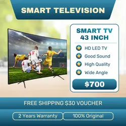 E-commerce Household Television Product Display