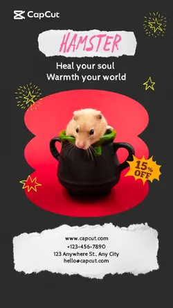 Pets Hamster promotion minimalist style