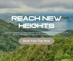 Travel industry General