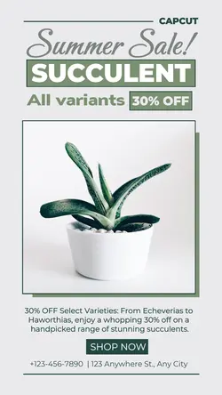 Household Accessories Plants Sale Instagram Story