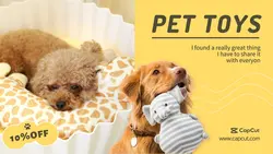 Pet&Pet toys Discount Minimalist