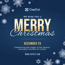 Merry Christmas Social Media Poster