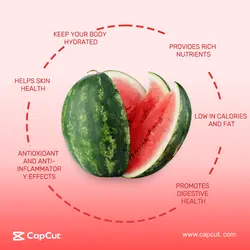 Gourmet watermelon display e-commerce