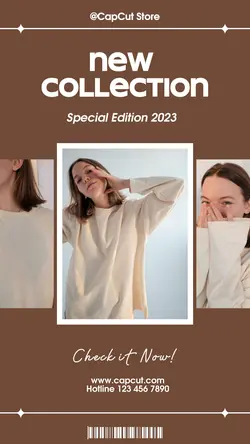 3 multi Fashion Product Display