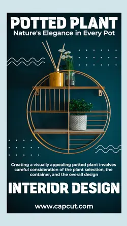 Household Potted Plant Design Instagram Story