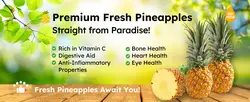 E-commerce Food Pineapple Fruit Detail Page