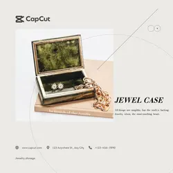 Jewelry & Accessories Jewel Case Show Minimalist  