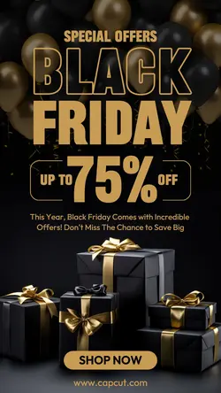 Black Friday Sale Instagram Story
