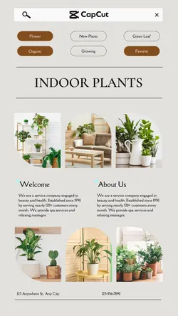 Household Indoor Plant Grey Minimalist