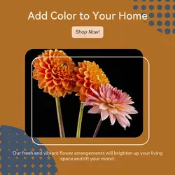 Home decor General