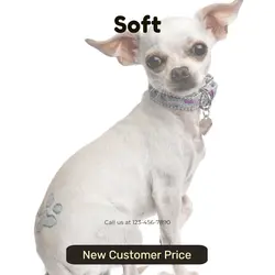 Pet industry Sales Promotion