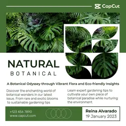 Natural Botanical Instagram Post