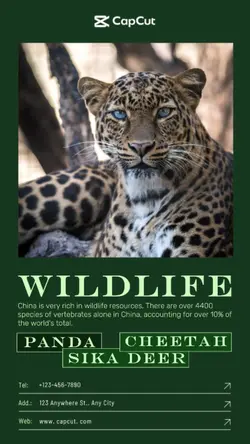 Travel Introduce details Minimalist 