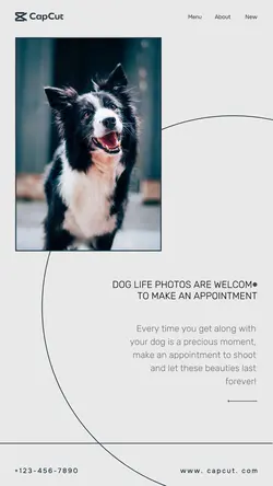 Life services&photography booking minimalist