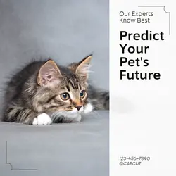 Pet industry Forecast