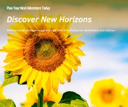 Travel industry General