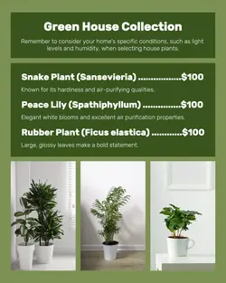 Household Green House Collection Display