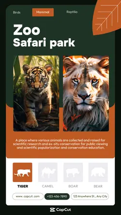 Entertainment Zoo Product display Minimalist