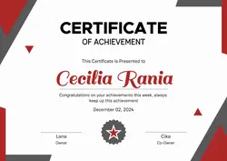 Non-Marketing Certificate Red Grey Modern