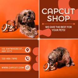 Pet Food Promotion Poster