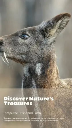 Travel industry General