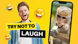 Try Not to Laugh YouTube Thumbnail - Reaction