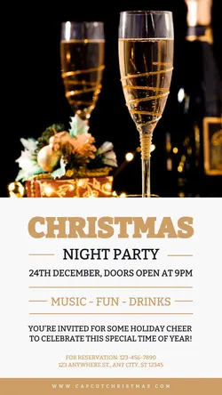Christmas Night Party Instagram Story