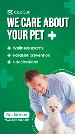 Pet Care - Instagram Story