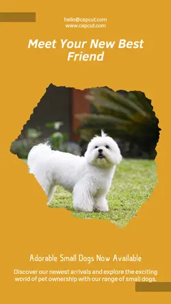 Pet industry New arrivals