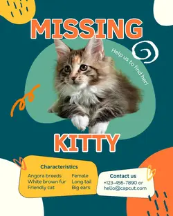 Pet Missing Instagram Post