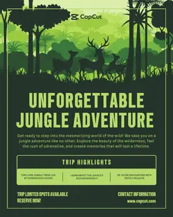 Other Industries Jungle Adventure Product Display Instagram Post