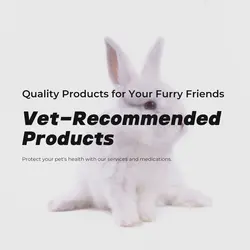 Pet industry Social Cards