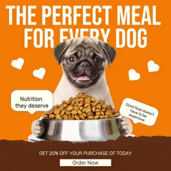 Dog Food Promotion Instagram Post