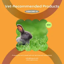 Pet industry Business