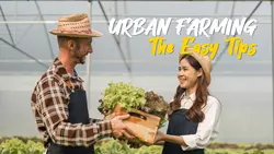 Youtube Thumbnail- Learning Urban Farming