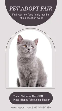 Pet Adoption Product Display Instagram Post