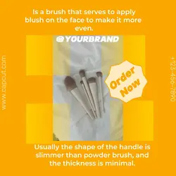 Beauty industry Product use brush