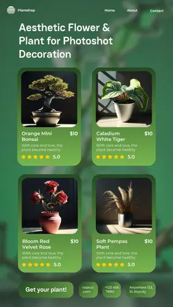 Plant Decoration Product Display Instagram Story