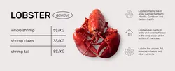 Food lobster display e-commerce
