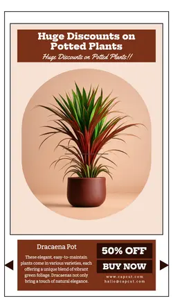 Household Accessories Potted Plant Sales Promotion