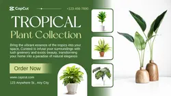 Furniture Tropical Plant Collection Twitter Post
