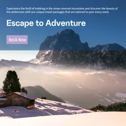 Travel industry General