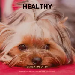 Pet industry Sales Promotion