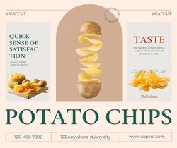 Foods & Beverage Chips Display Business