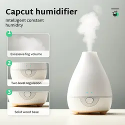 Electronic products Humidifier Product display
