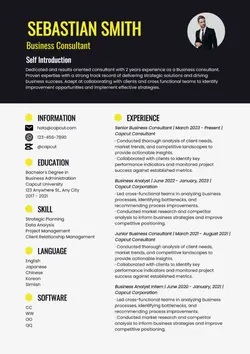 Non-Marketing Consultant Resume